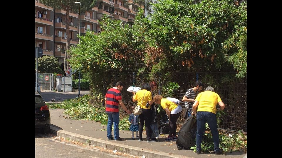 Emergenza rifiuti, magliette gialle, volontari ripuliscono la citt&agrave; (foto di Elisa Trincia)