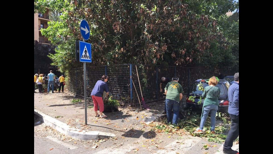 Emergenza rifiuti, magliette gialle, volontari ripuliscono la citt&agrave; (foto di Elisa Trincia)
