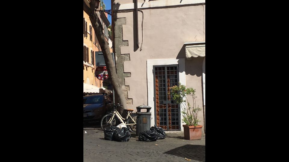 Trastevere (foto di Cecilia Scaldaferri)