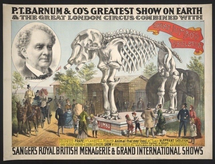 &nbsp; Storica locandina del Circo Barnum