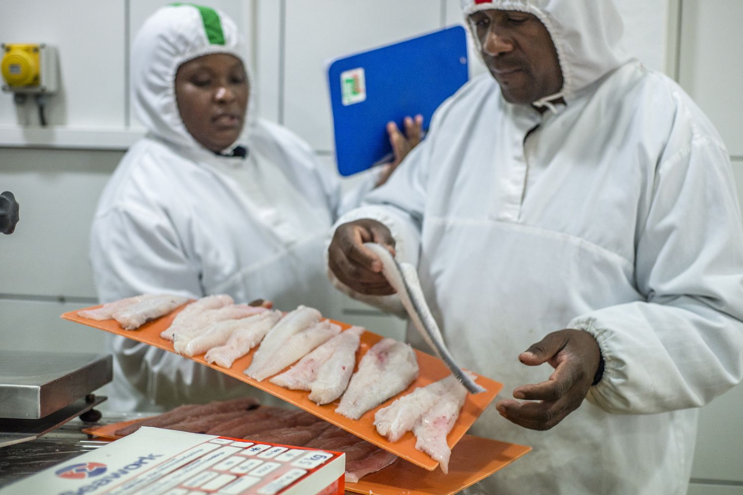 &nbsp;Pesce Africa (Afp)