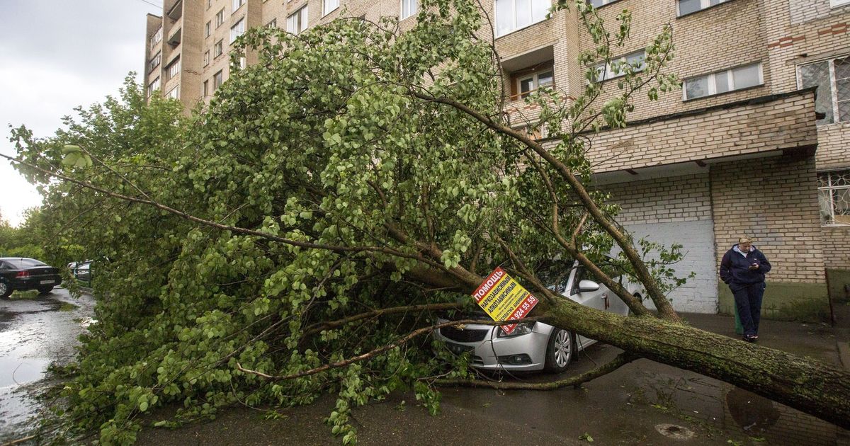 Un albero cade su un edificio a Roma, rotta una tubatura del gas