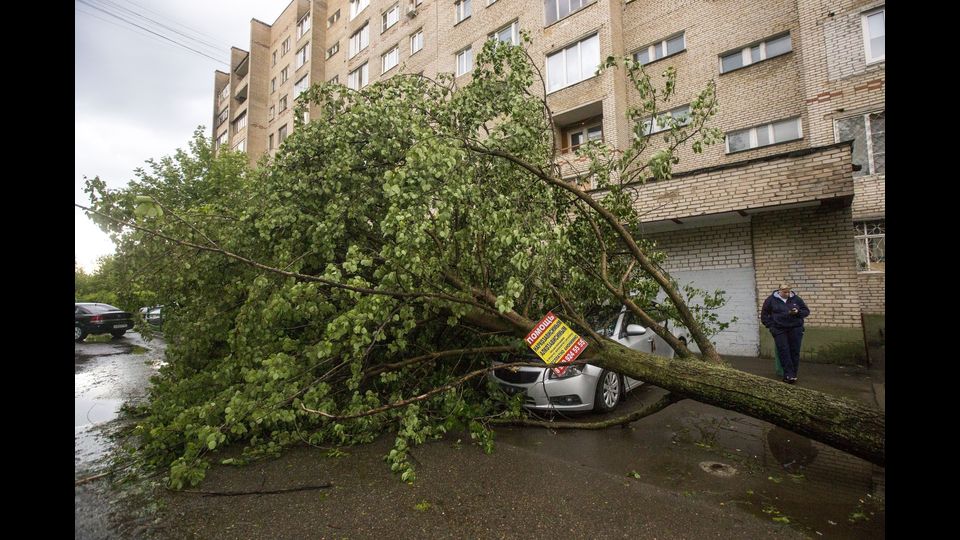 Al momento risultano 6.500 alberi caduti. Sono 180 i condomini e le abitazioni private danneggiate dalla tempesta.