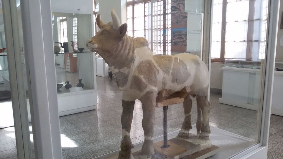 Il toro di Choga ZanbilIl fantastico toro del 1250 a.C., di costruzione elamita, che riporta le scritte del sovrano Untash Gal che costru&igrave; lo Ziggurat di Chogha Zanbil, che oggi e&rsquo; il meglio conservato al mondo e si trova in Iran, vicino Susa. Il toro riporta la dichiarazione del re che spiega di aver costruito il tempio di Chogha Zanbil in onore della dea protettrice degli Elamiti, antica civilta&rsquo; iranica, ossia la dea Inshushinak. &nbsp;