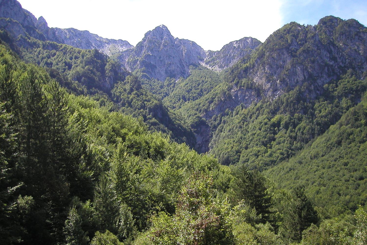 &nbsp;Parco nazionale d'Abruzzo
