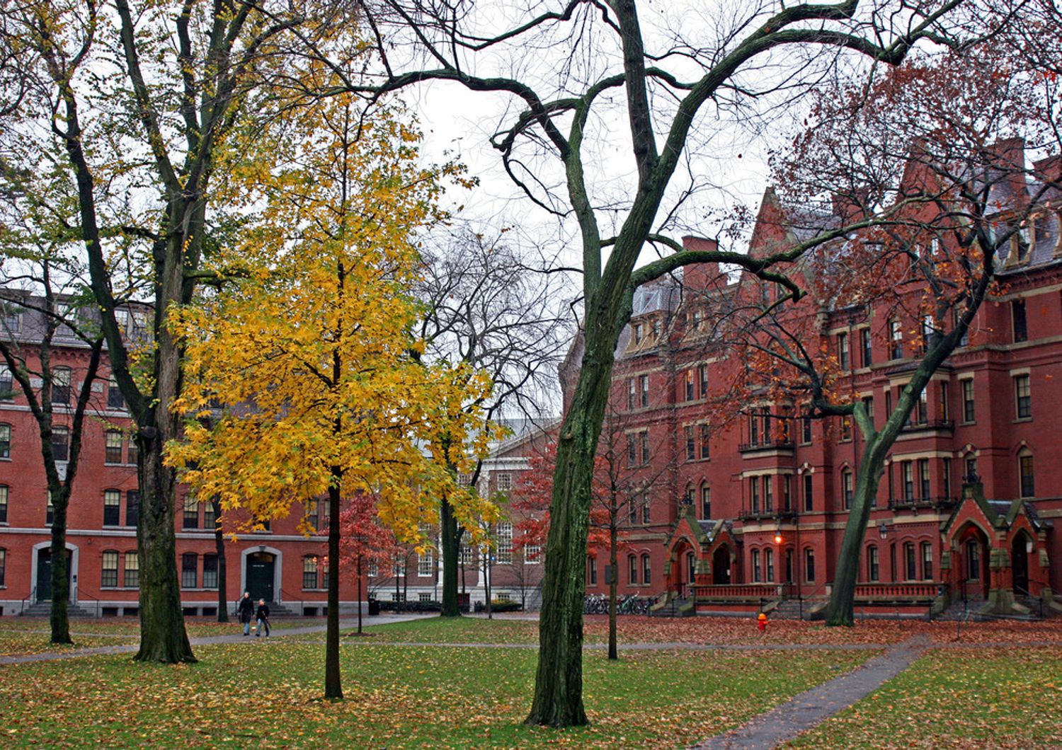 &nbsp;Una immagine dell'universit&agrave; di Harvard