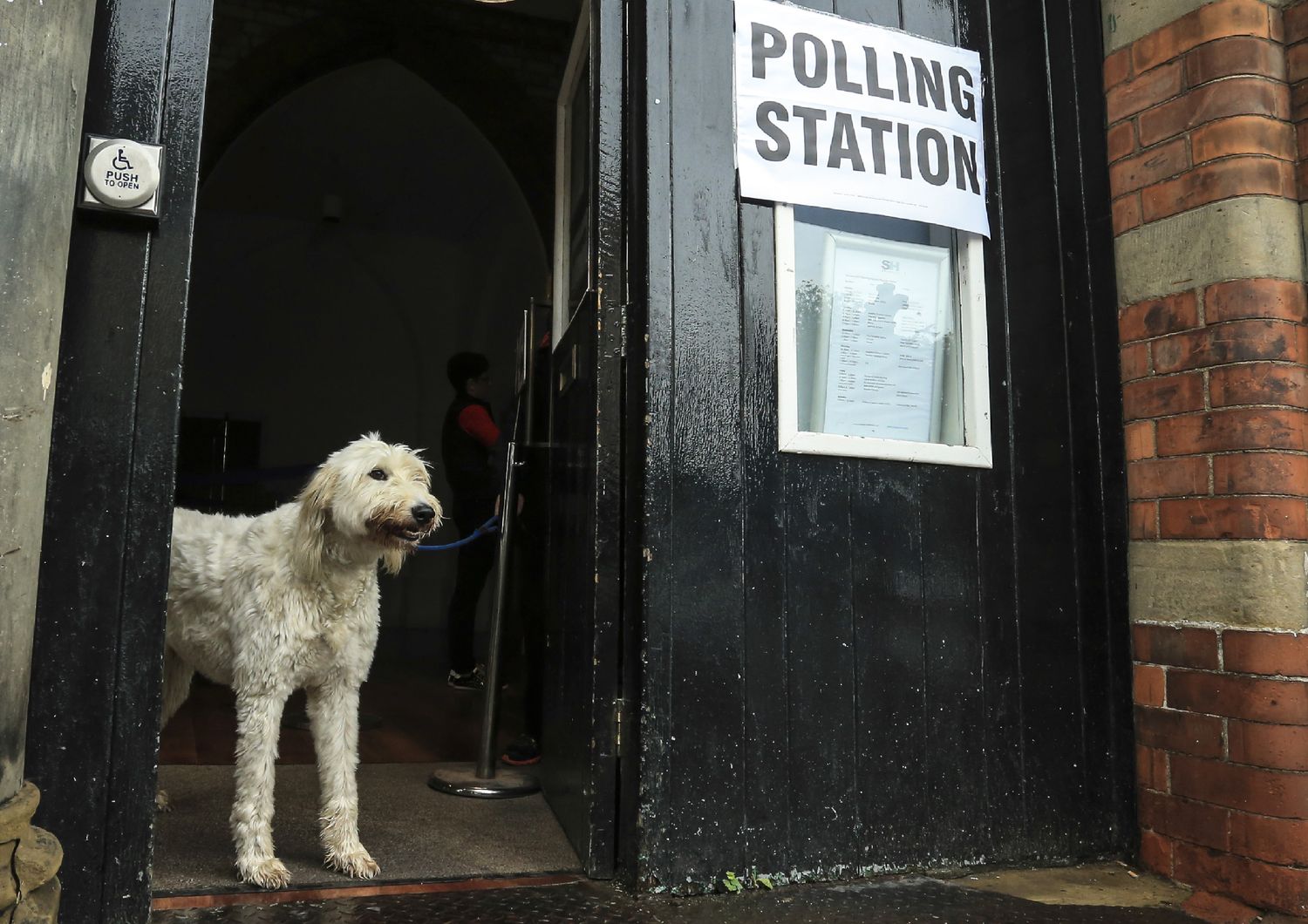 &nbsp;Elezioni Gb, cani ai seggi elettorali (Afp)