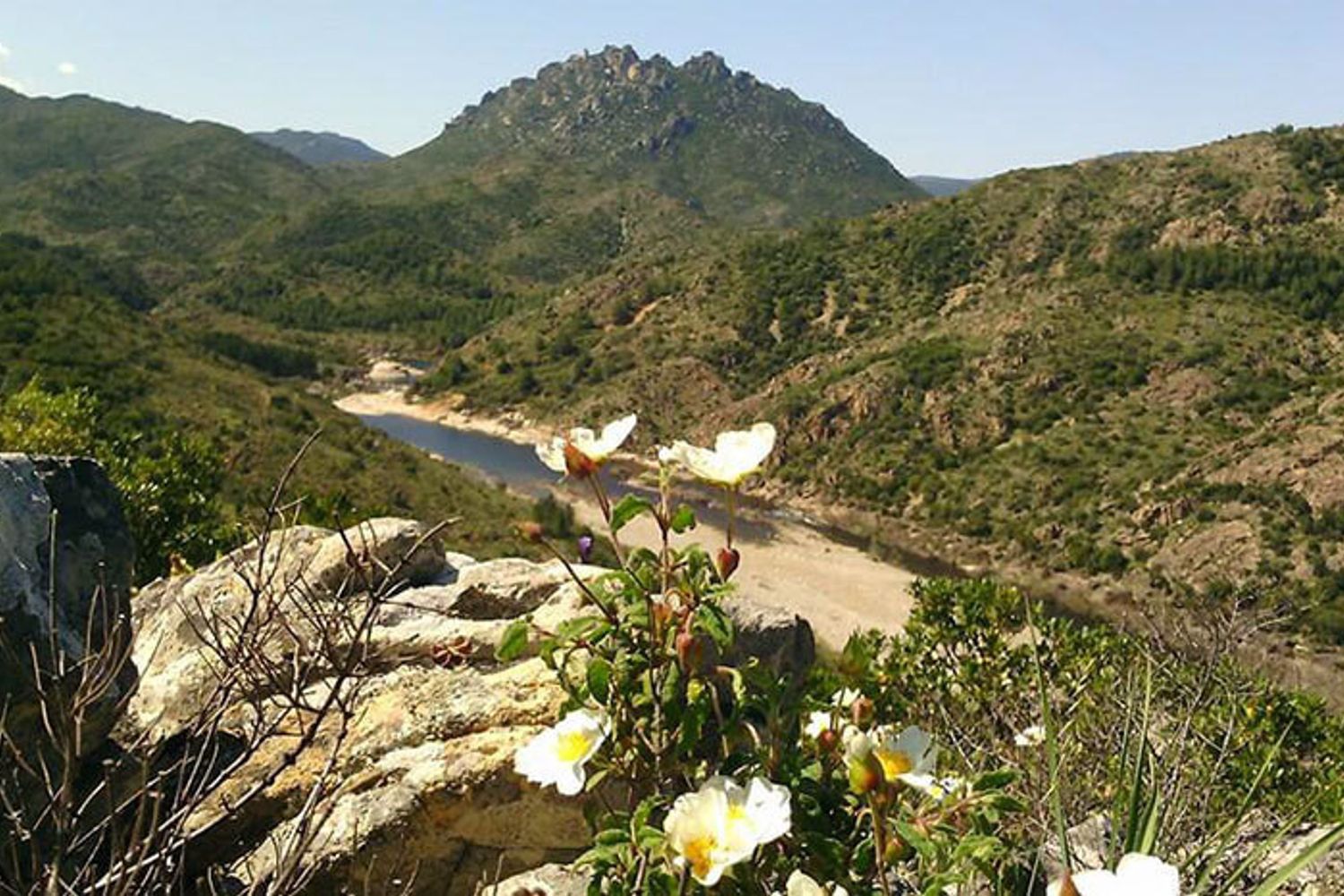 &nbsp;Il Parco Naturale Regionale dell&rsquo;Oasi di Tepilora (web)