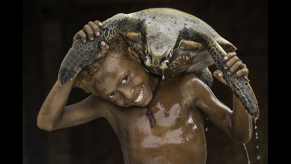 &nbsp;Chelonia mydas&nbsp;- Si distingue dalle altre tartarughe marine per il carapace dotato di quattro paia di scuti costali, una sola placca prefrontale sulla testa, che &egrave; robusta, voluminosa ed arrotondata, la punta del becco corneo della mascella superiore non ricurva ad uncino e gli scudi del carapace mai embricati