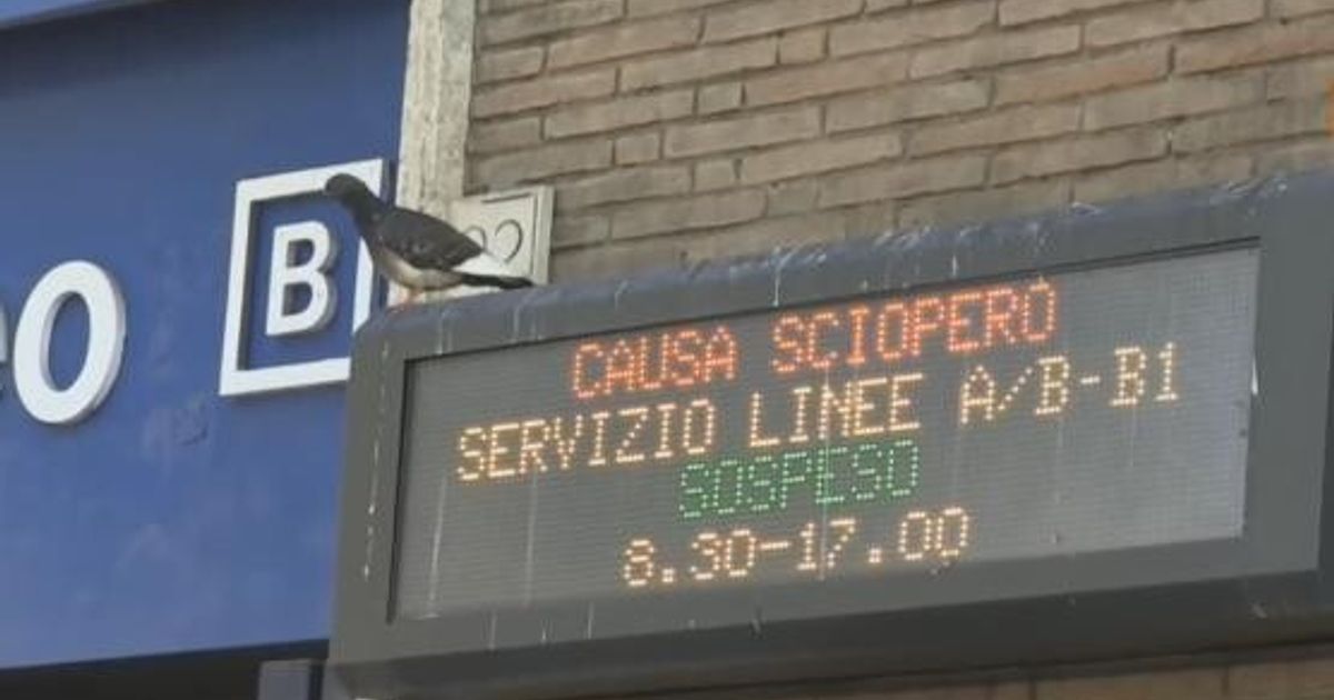 Sciopero aerei 