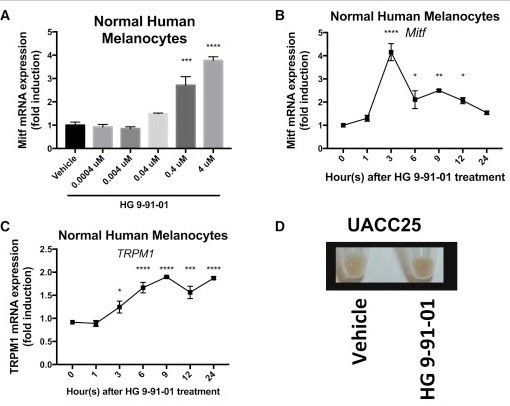 Il farmaco inibisce una proteina chiamata chinasi Na+ inducibile (SIK)&nbsp;