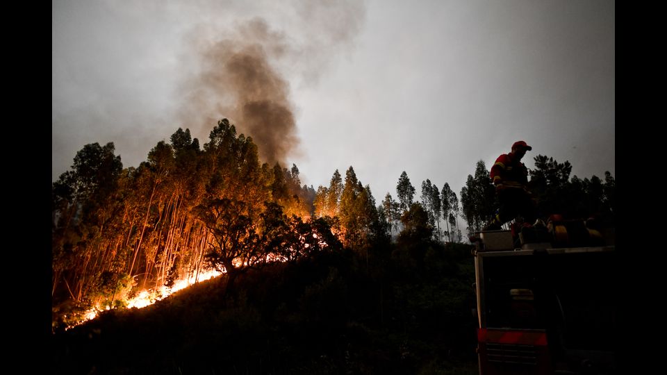 Sono stati messi a disposizione i due Canadair CL 415 del Dipartimento dei Vigili del Fuoco co-finanziati nell'ambito di un progetto europeo coordinato dalla Protezione Civile. &nbsp;(Afp)&nbsp;