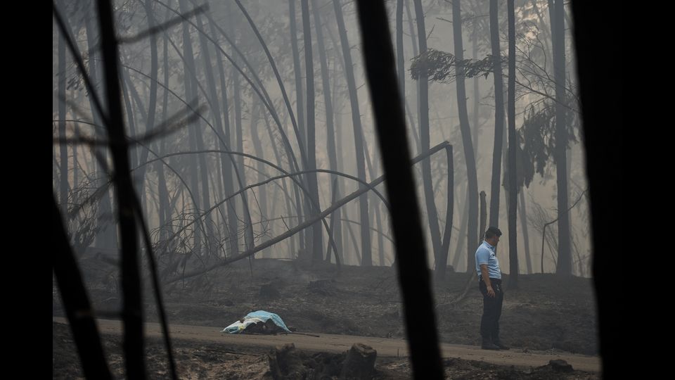 Immagini dall'inferno in Porogallo.&nbsp;(Afp)&nbsp;