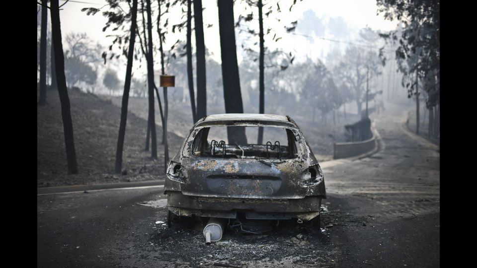 Cosa resta del bosco di Castanheira de Peira dopo il rogo (Afp)&nbsp;