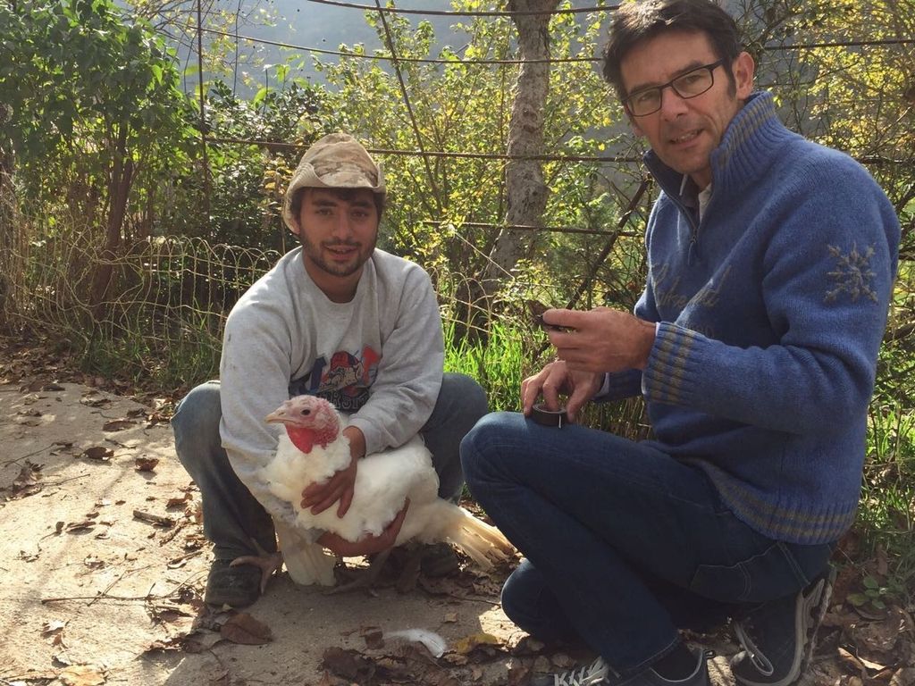 &nbsp;Tacchino con chip