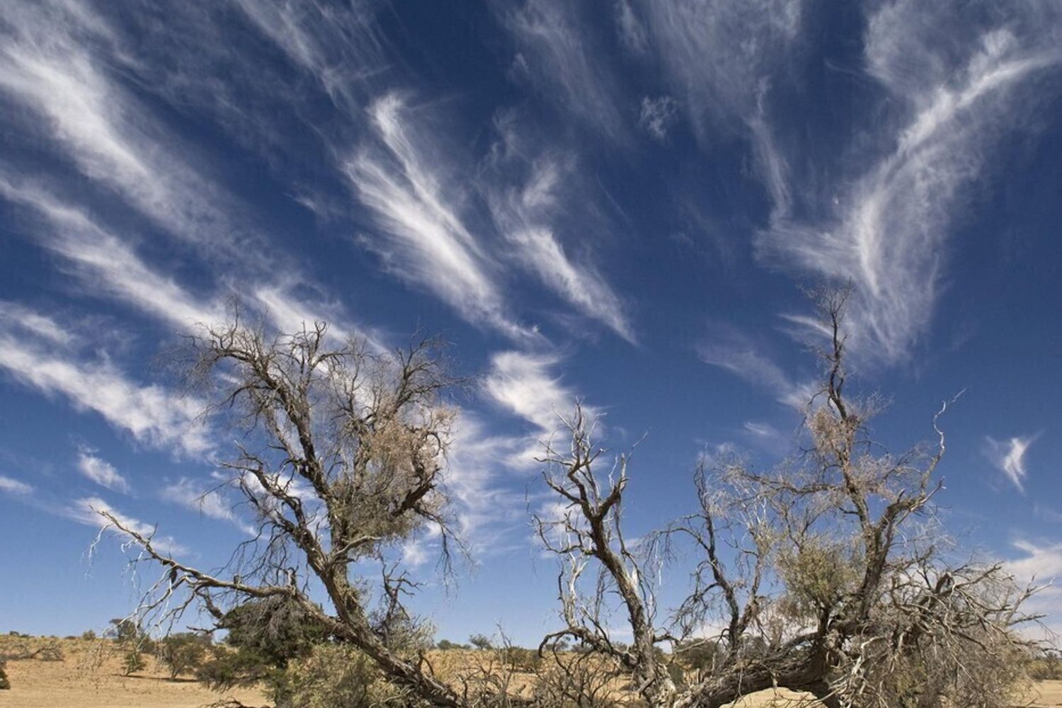 Clima, cambiamenti climatici