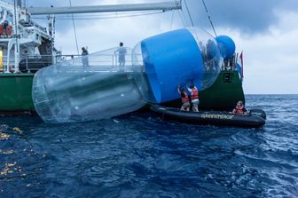 L&rsquo;Europa &egrave; il secondo pi&ugrave; grande produttore al mondo di plastica e quasi la met&agrave; di quella che produce &egrave; destinata al mercato degli imballaggi, con una grande responsabilit&agrave; rispetto all&rsquo;inquinamento marino derivante dalla plastica. Solo adottando misure ambiziose l&rsquo;Europa pu&ograve; fare la differenza.