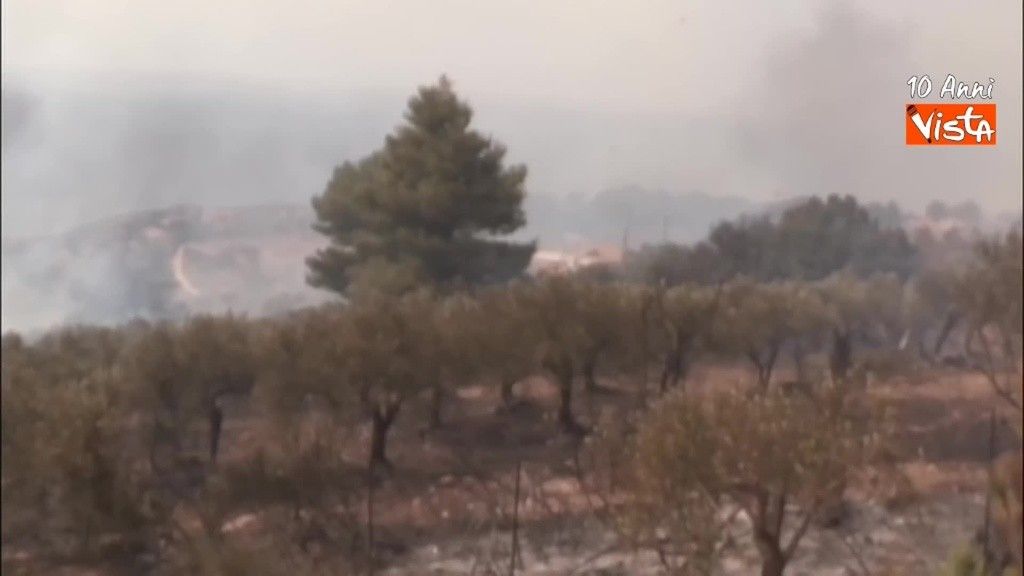 I Canadair intervengono per spegnere un incendio nel trapanese