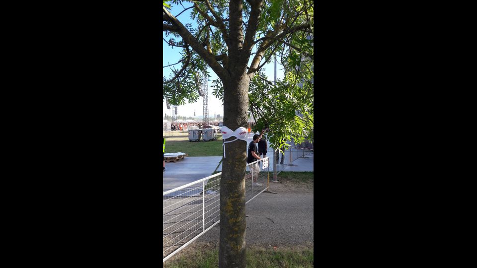 Quando suoneranno &quot;Rewind&quot;, molte fan mostreranno i seni al vento. Qualcuna in effetti si era scordata da qualche parte il reggiseno di prammatica con scritto &quot;Fammi godere&quot;...