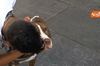 &nbsp;giornata mondiale del bacio (Vista)