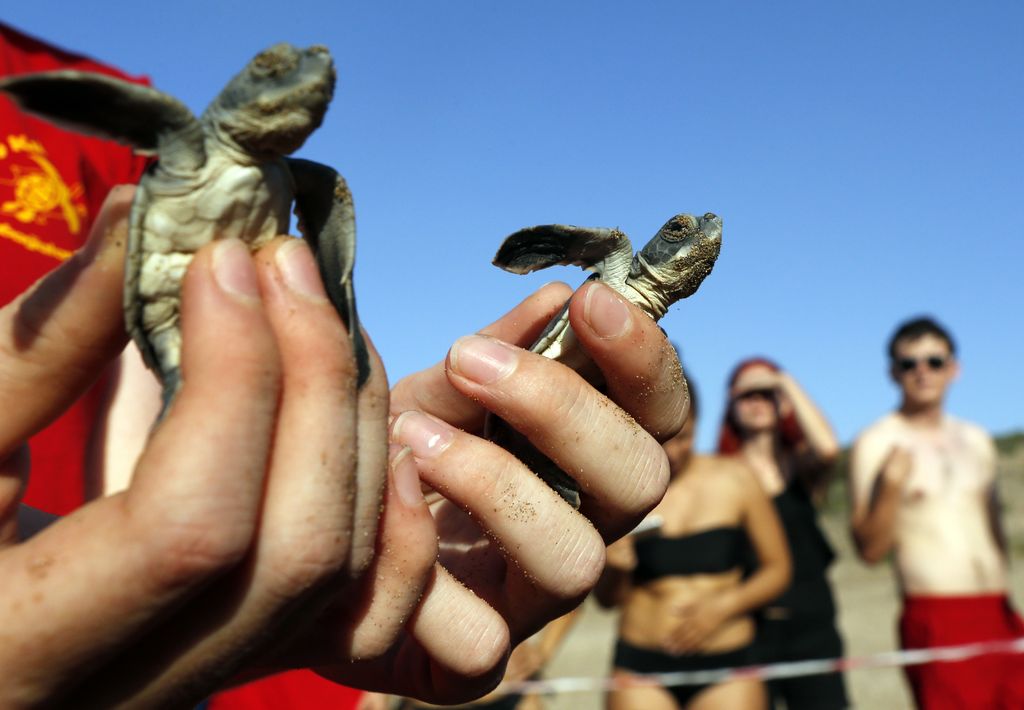 &nbsp;Kyrenia - Cipro (Afp)