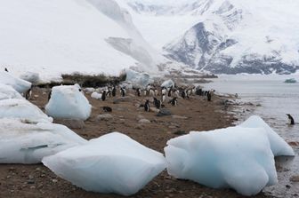 &nbsp;Polo Sud Antartico ghiaccio pinguini