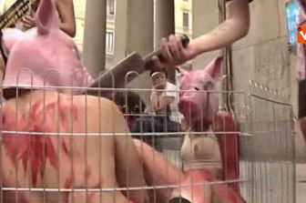 animalisti (fotogramma Vista)&nbsp;