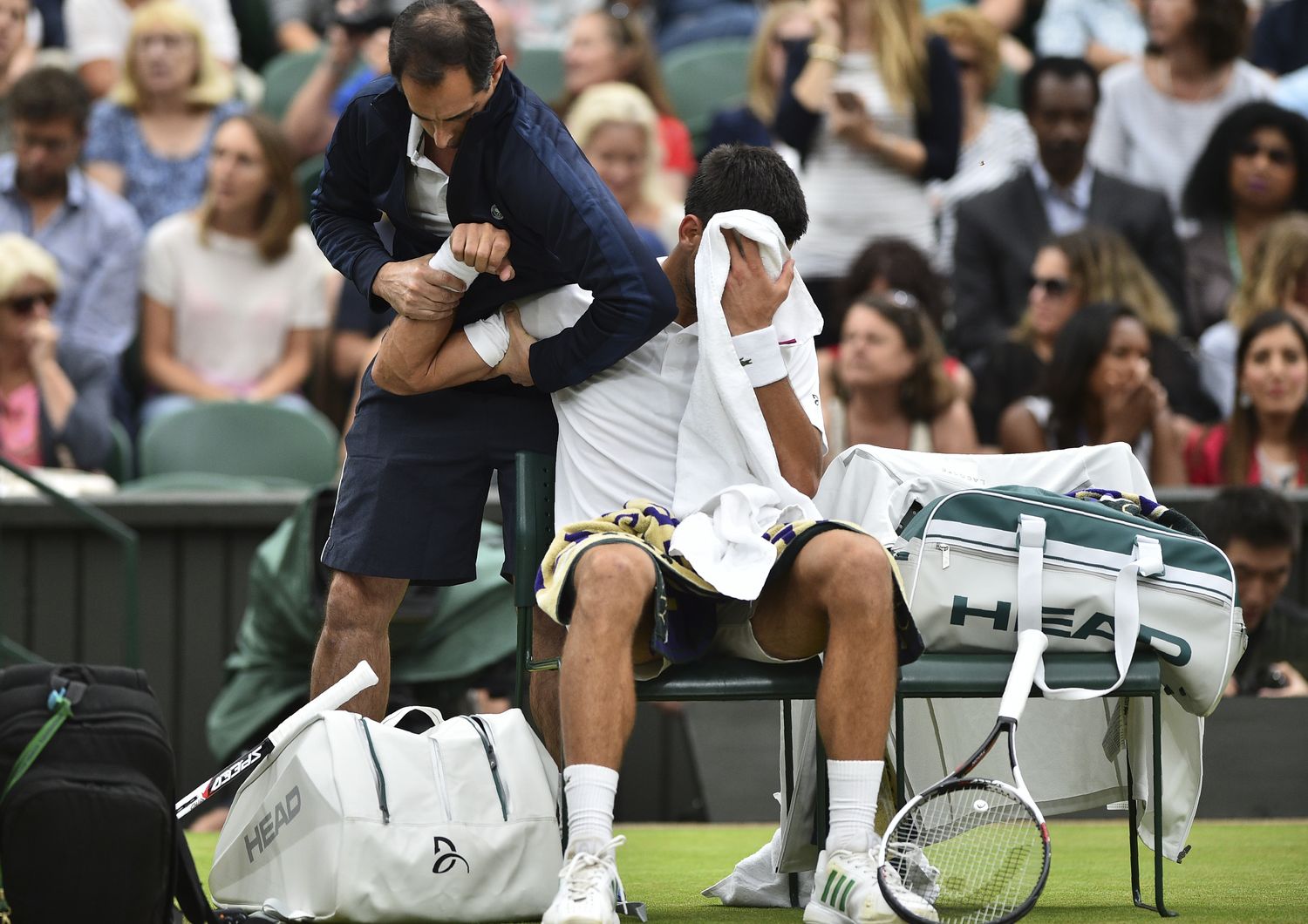 Novak Djokovic (AFP)&nbsp;