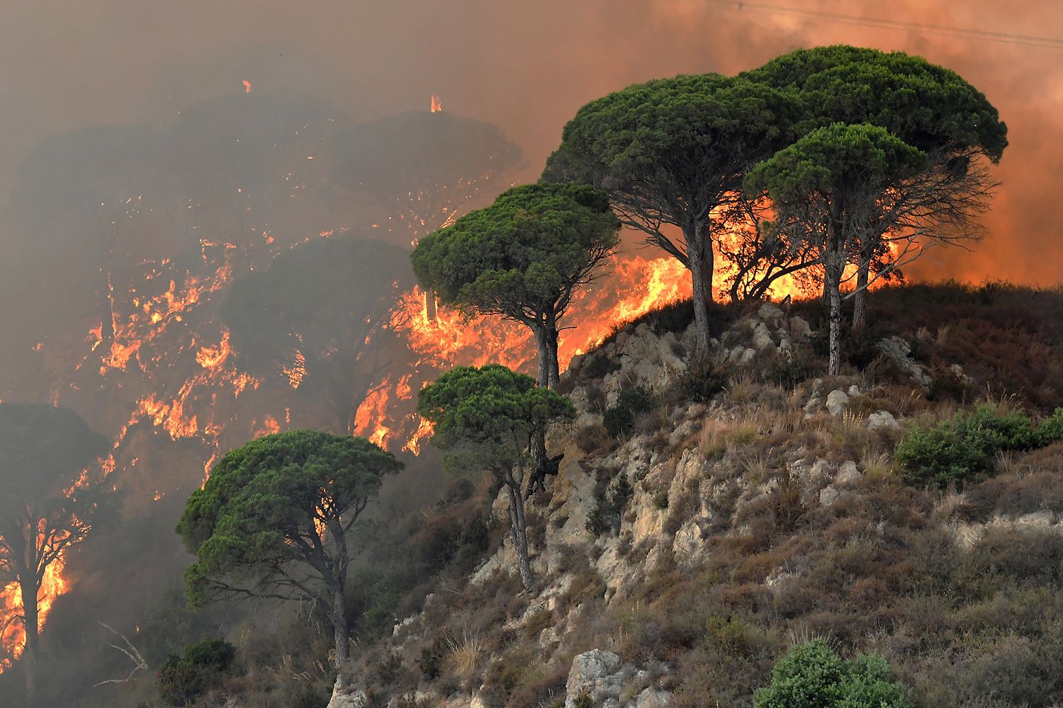 &nbsp;Incendi in Italia (Afp)