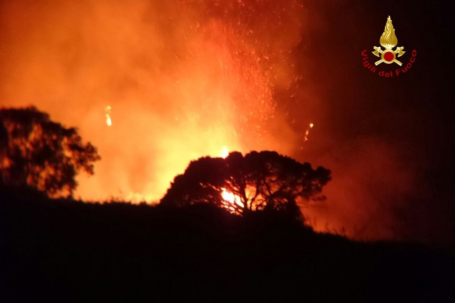 &nbsp;Messina incendi boschiviFoto: Vigili del Fuoco