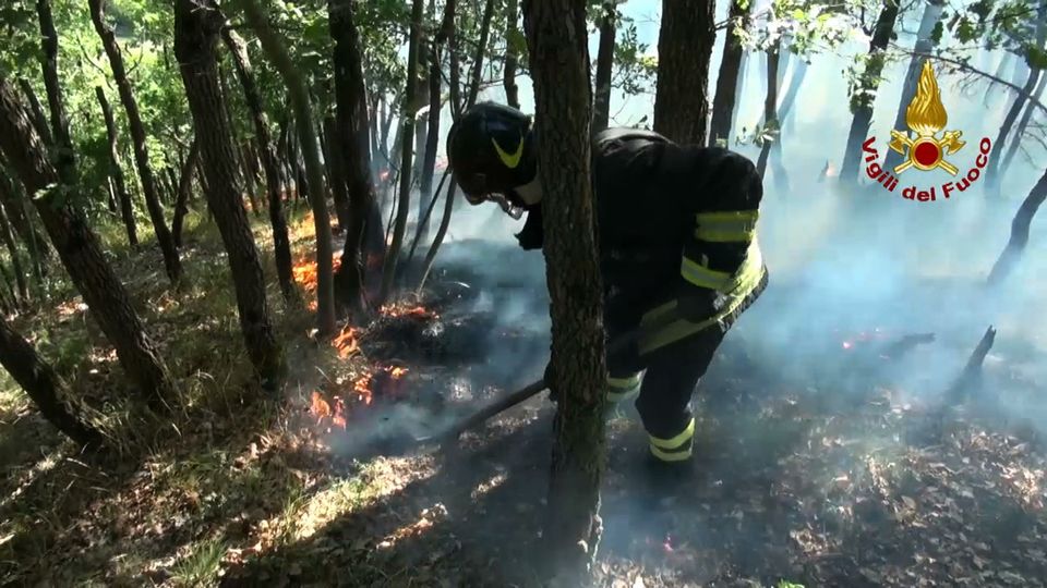 &nbsp;Incendio a MarzabottoFoto: Vigili del Fuoco