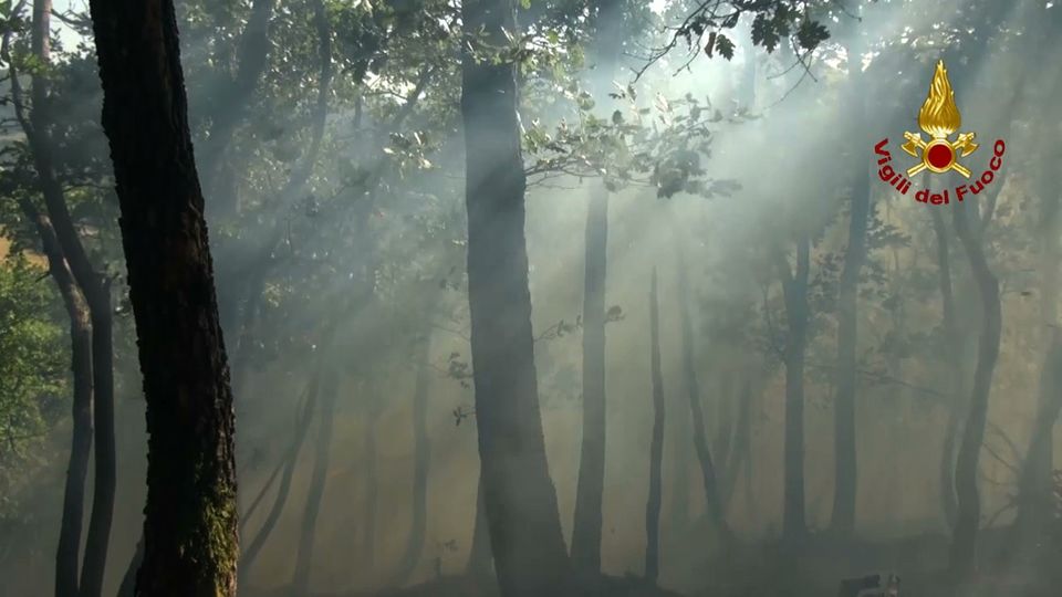 &nbsp;Incendio a MarzabottoFoto: Vigili del Fuoco
