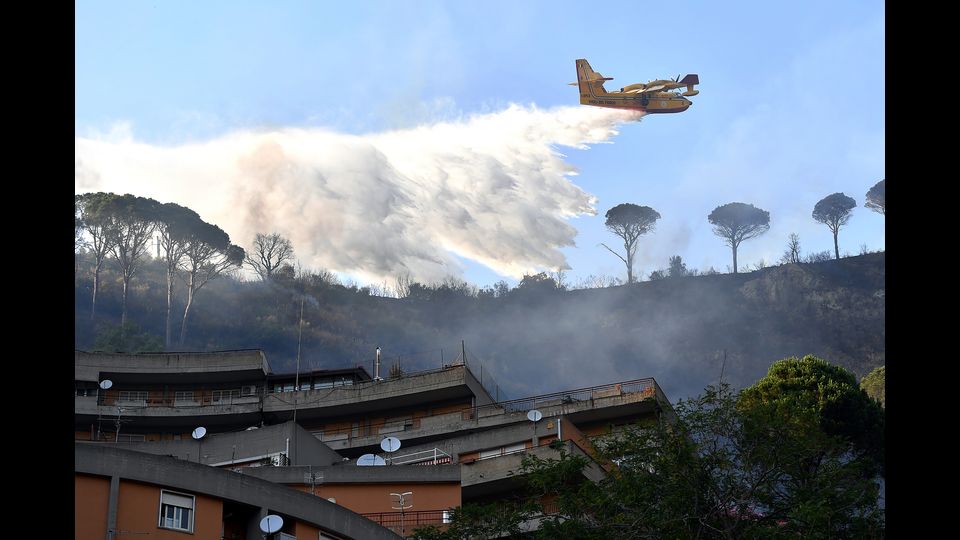 Incendi a Messina&nbsp; Foto: Giovanni Isolino / AFP