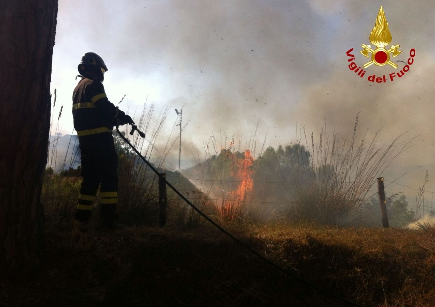Salice (ME) incendio pineta Foto: Vigili del Fuoco