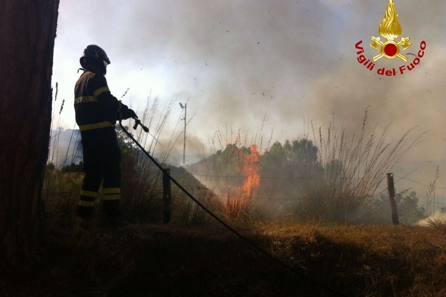 Salice (ME) incendio pineta Foto: Vigili del Fuoco