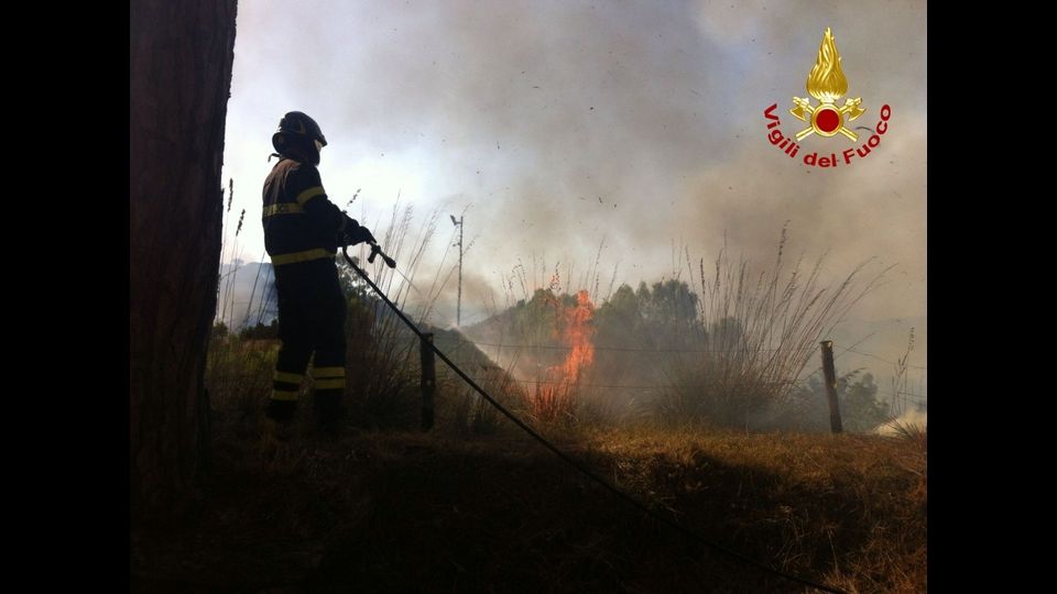 &nbsp;Salice (ME) incendio pinetaFoto: Vigili del Fuoco