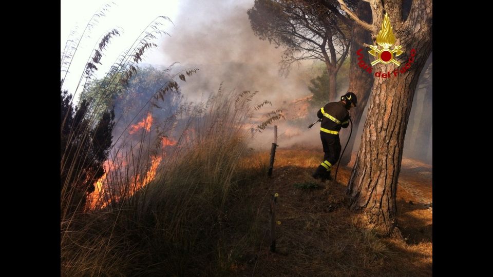 &nbsp;Salice (ME) incendio pinetaFoto: Vigili del Fuoco