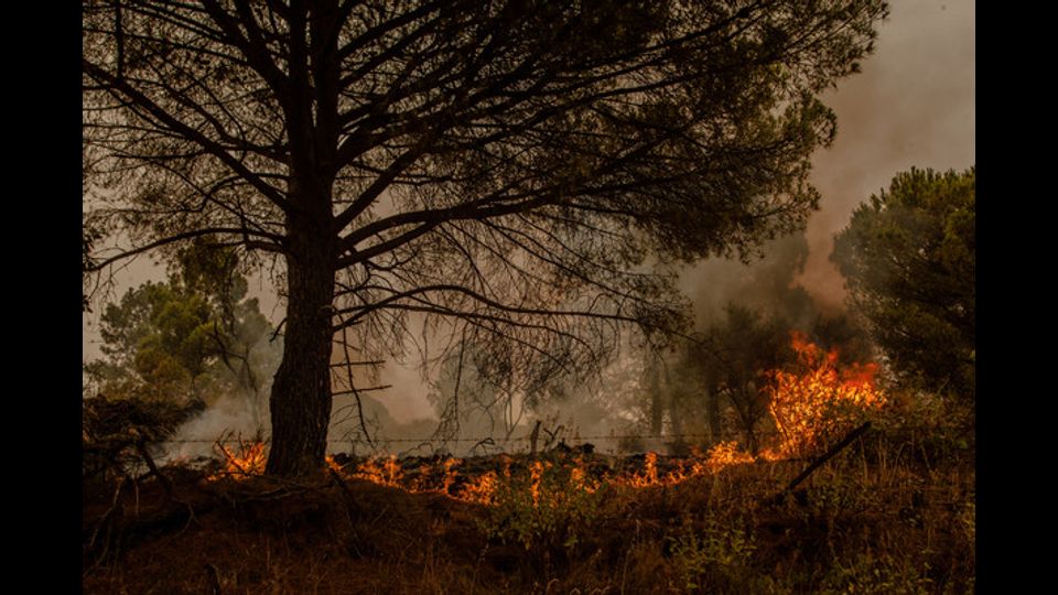 Napoli, VesuvioFoto: Paolo Manzo/ Nurphoto&nbsp;&nbsp;