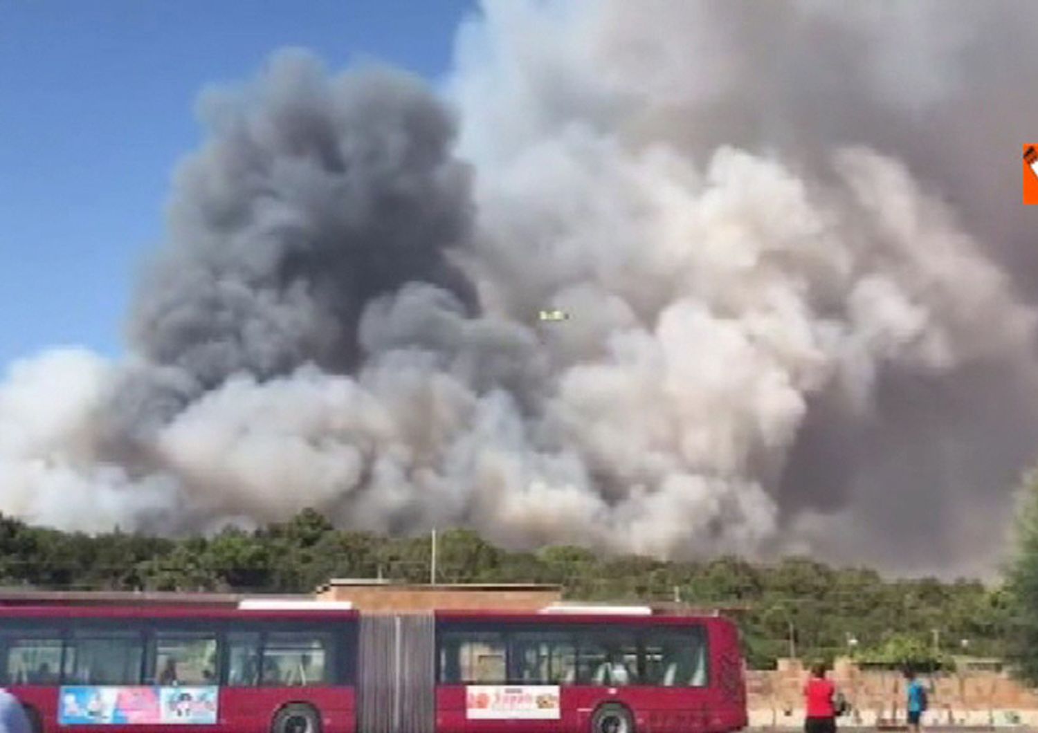 incendio Castelfusano (fotogramma Vista)&nbsp;
