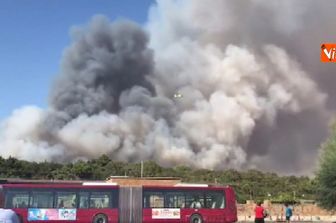 incendio Castelfusano (fotogramma Vista)&nbsp;