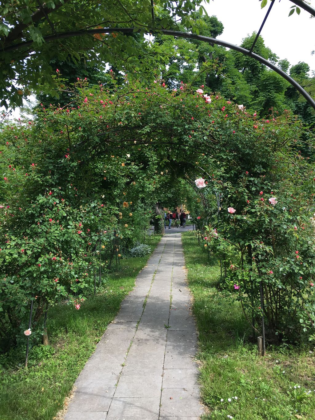 Parco di San Giovanni di Trieste &nbsp;