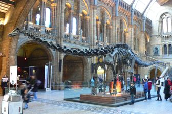 Il bambino con la sindrome di Asperger che corresse il Museo di storia naturale