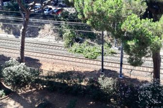 &nbsp;Albero caduto sui binari della stazione Roma Lido&nbsp;