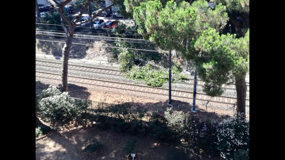 &nbsp;Albero caduto sui binari della stazione Roma Lido&nbsp;