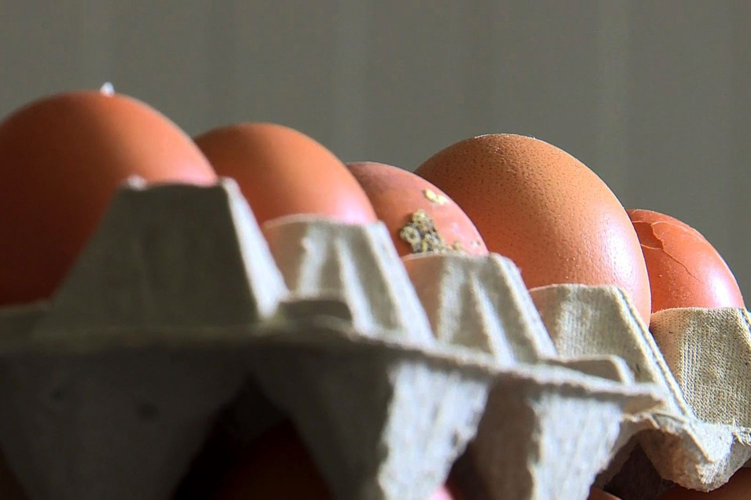 &nbsp;Uova olandesi contaminate da insetticida tossico (Afp)