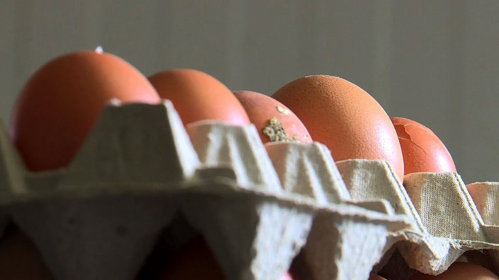 Uova olandesi contaminate (Sophie Mignon / AFPTV / AFP)