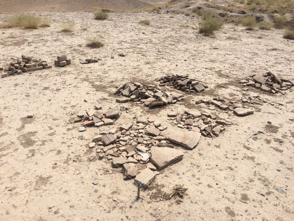 Pasargade, il palazzo di Dario I &nbsp;