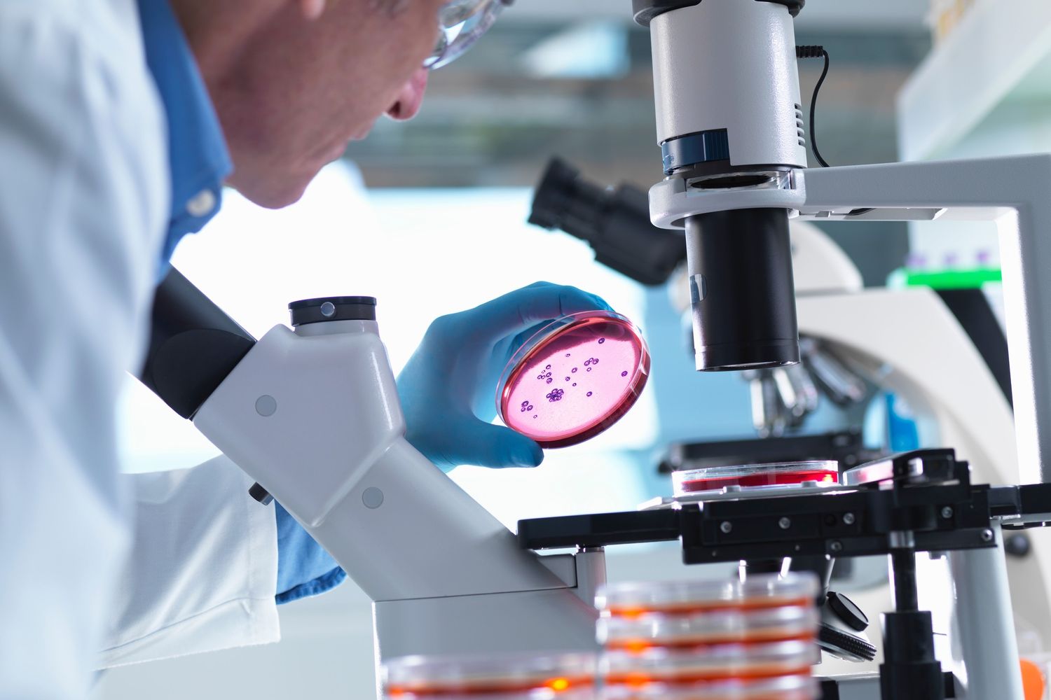 &nbsp;Un microbiologo al lavoro