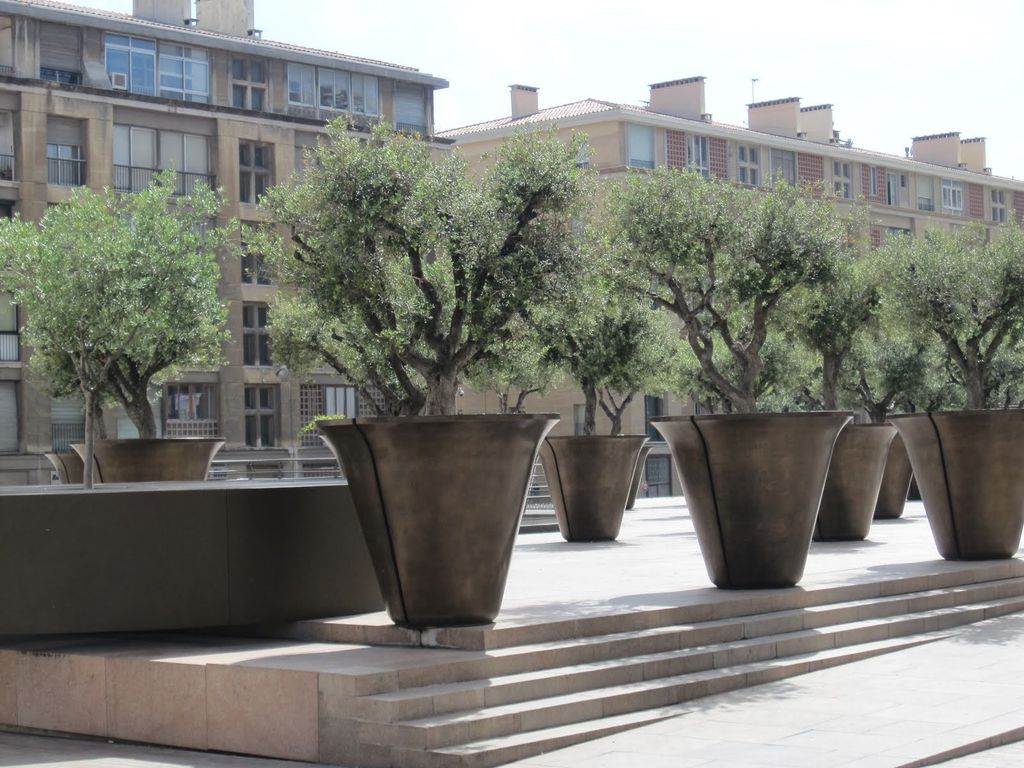 &nbsp;Gli alberi con vasi proposti da Boeri&nbsp;