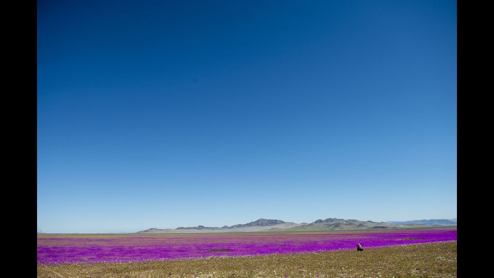 &nbsp;Ancora qualche dettaglio del panorama mozzafiato che si pu&ograve; godere in questi giorni (Afp)